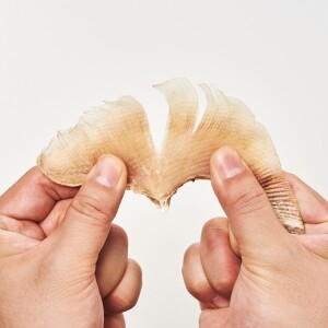 엄마가준생선,동해형씨 원물건조 가오리 60g 강아지 수제간식