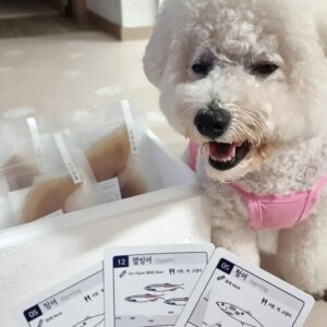 엄마가준생선,동해형씨 원물건조 가오리 60g 강아지 수제간식