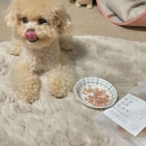 엄마가준생선,동해형씨 원물건조 가오리 60g 강아지 수제간식